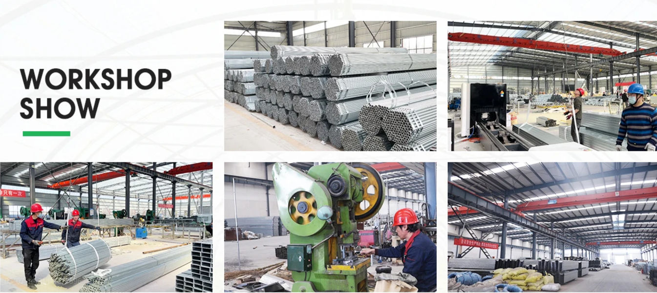 Shandong Lisent Agricultural Technology Co., Ltd. línea de producción del fabricante