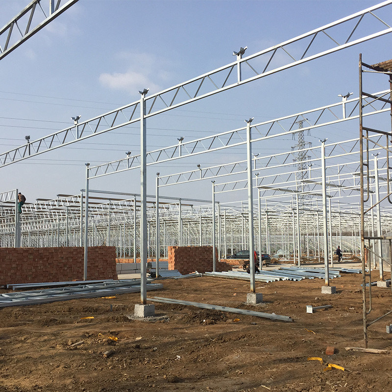 Plastic Sheet Greenhouse